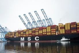 MSC